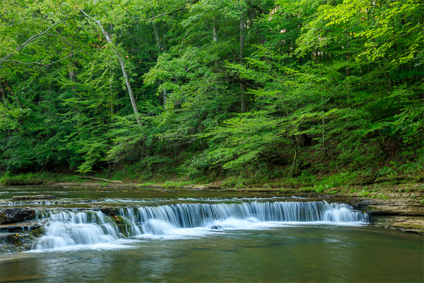 Brown;Calm;Cascade;Cascading;Chute;Concepts;Cool Colors;Cool Palette;Cool Tones;Creek;Crockett Falls;David Crockett State Park;Falling;Falls;Flow;Forest;Forested;Gold;Green;Greens;Healing;Health care;Healthcare;Leaves;Nature;Oneness;Pastoral;Pouring;River;State Park;Stream;Stream Bank;Streaming;Tan;Tennessee;Timber;Timberland;United States;Water;Waterfalls;Waterscape;Wood;Woodland;Woods;color;flowing;foliage;landscape;peaceful;plants;rapids;restful;river bank;serene;soothing;tranquil;trees;waterfall;zen