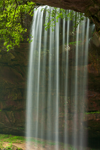 Bluff;Brown;Calm;Cascade;Cascading;Cataract;Chute;Concepts;Cool;Cool Colors;Cool Palette;Cool Tones;Falling;Falls;Flow;Fog;Forest;Gold;Green;Greens;Habitat;Healing;Health care;Healthcare;Leaves;Logging;Looking up;Minimalism;Mist;Nature;Obscured;Oneness;Pastoral;Pouring;Rock;Rock formations;Rocks;Spilling;Spray;Stone;Stream;Streaming;Sunlight;Sunshine;Tan;Timber;Timberland;Water;Waterfalls;Waterscape;White;Wood;Woodland;Woods;cliff;color;flowing;foggy;foliage;green;haze;landscape;mist;misty;peaceful;plants;rapids;restful;serene;soothing;sunlit;tranquil;waterfall;wet;zen