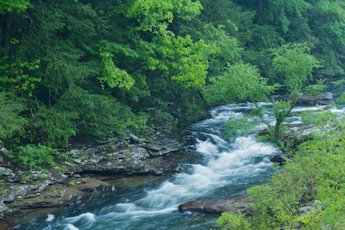 creek;Water;brook;River;Rivers;Riverbed;Rivulet;waterway;Green;flowing;Streamlet;Stream;Creek;stream;Brook