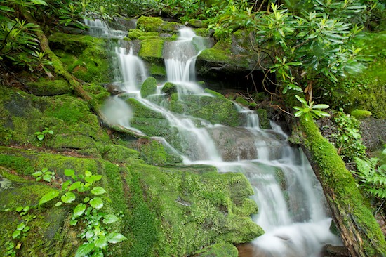 Bark;Boulder;Brook;Bubbling;Cascade;Cascading;Cataract;Chute;Cliff;Cool;Creek;Falling;Falls;Flow;Flowing;Forest;Great Smoky Mountains National Park;Gush;High;Journey;Leaf;Leaves;Ledge;Mountain;Mountain Top;Natural;Nature;Outdoors;Path;Peak;Plants;Pouring;Power;Powerful;Precipice;Rapids;River;Rivulet;Road;Rock Face;Rock Formations;Rocks;Scenic View;Scenics;Sheer;Spilling;Spray;Steep;Stream;Streamlet;Summit;Tennessee;Torrent;Trail;Trees;Tributary;Vertical;Water;Waterfall;Wet;White Water;Woodland;Woods