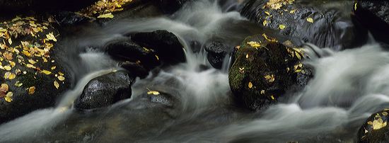 Flow;Wet;Cool;Pouring;Water;Stream;Waterfall;Striation;Rock;Boulder;Geology;Geological;Rock formations;Rocks;Leaves;Stone;Foliage;Vein
