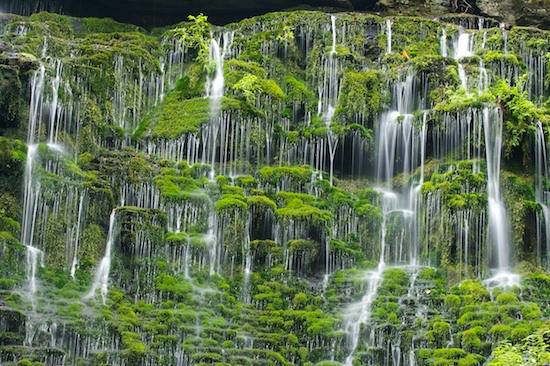 Abstract;Abstractions;Chute;Cool;Falling;Falls;Flow;Flowing;Green;Machine Falls;Moss;Mosses;Patterns;Shapes;Short Springs State Natural Area;Spilling;Stream;Tennessee;Textures;Tullahoma;Water;Waterfall;Waterfalls;Wet