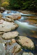 Rocks;Cascading;Yellow;Vermont;Gold;Green;Falls;Streaming;Cascade;Rock;Streamlet