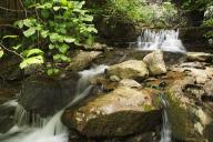 TNCT;Water;Pouring;Pure;Clean;Nature;Conservancy;Oneness;Tennessee;Walls;of;Jeri