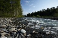 River;Rivers;Stream;Flowing;Rushing;Water;Rapids;Creek;Brook;Pour;Pouring;White-