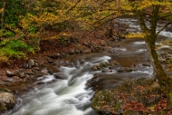 Autumn;Boulder;Boulders;Branches;Brook;Brown;Calm;Cascade;Cascading;Chute;Creek;