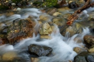 Green;Zapato-Falls;Cascade;Rapids;Autumn;Horizontal;Fall;Streaming;flow;Pouring;