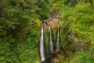 Cascade;Chute;Falls;Fern;Forest;Forested;Green;Oneness;Oregon;Peaceful;Pouring;S