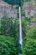 Bluff;Boulder;Calm;Cascade;Chute;Columbia-River-Gorge;Falls;Flow;Forest;Forested