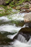 Boulder;Brook;Brown;Cascade;Cascading;Chute;Cool;Creek;Falls;Flow;Gold;Green;Pou