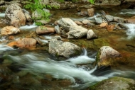 Boulder;Brook;Brown;Cascade;Cascading;Chute;Cool;Creek;Flow;Gold;Green;Pouring;R