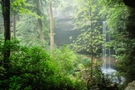 Cascade;Cascading;Cataract;Chute;Cool;Falling;Falls;Flow;Fog;Forest;Habitat;Logg