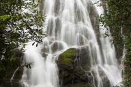 Cascade;Cascading;Cool;Flow;Flowing;Great-Smoky-Mountains-National-Park;Green;Po