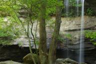 Bark;Beersheba-Springs;Bluff;Boulder;Branch;Branches;Chute;Cliff;Cool;Crag;Escar