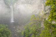 Boulder;Cascade;Cascading;Cataract;Chute;Cool;Falling;Falls;Flow;Fog;Foggy;Fores
