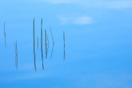 Abstract;Abstraction;Blue;Botanical;Calm;Cloud;Cloud-Formation;Clouds;Fall-Creek