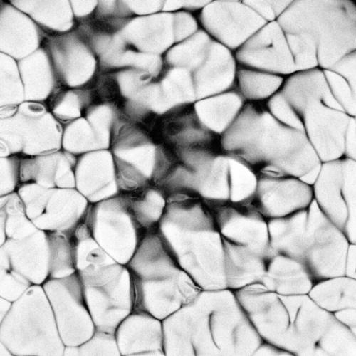 abstract;abstract art;abstract photography;abstraction;art;art photography;art prints;artistic;artistic photography;arts;artwork;b & w;black;black and white;black and white photography;black and whites;black white;bold;collectable;collector art;consultant art;contemporary;contemporary black and white;contemporary prints;contrast;corporate;creation;creative;design;designer art;dreamy;editions;fantasy;fine;fine art;fine art photography;grey;grey scale;home;interior design;interior design art;modern;noir;office;pattern;print;prints;shapes;square;surreal;technique;texture;textured abstract;tone;unique;white