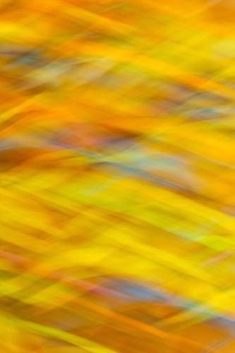 abstract;art;artistic;arts;artwork;bold;brilliant;calm;color;colorful;colors;contemporary;fine art;fine art photography;flow;flowing;gold;infinity;line;lines;modern;orange;organic;pattern;patterns;photo;photo art;photograph;photography;soothing;texture;wheat;yellow