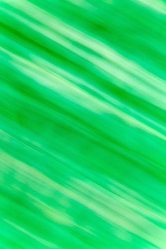 abstract;art;artistic;arts;artwork;bold;brilliant;calm;color;colorful;colors;contemporary;fine art;fine art photography;flow;flowing;green;infinity;line;lines;modern;organic;pattern;patterns;photo;photo art;photograph;photography;soothing;texture;white