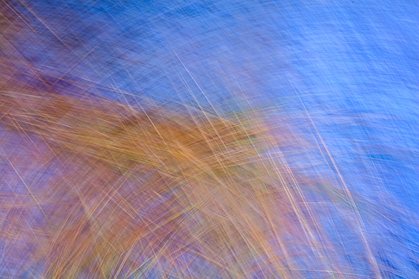 Abstract;Abstraction;Aqua;Blue;Calm;Close-up;Design;Healing;Line;Looking up;Minimalism;Nature;Pastoral;Shape;Yellow;green;oneness;orange;pattern;peaceful;red;restful;serene;soothing;texture;tranquil;zen
